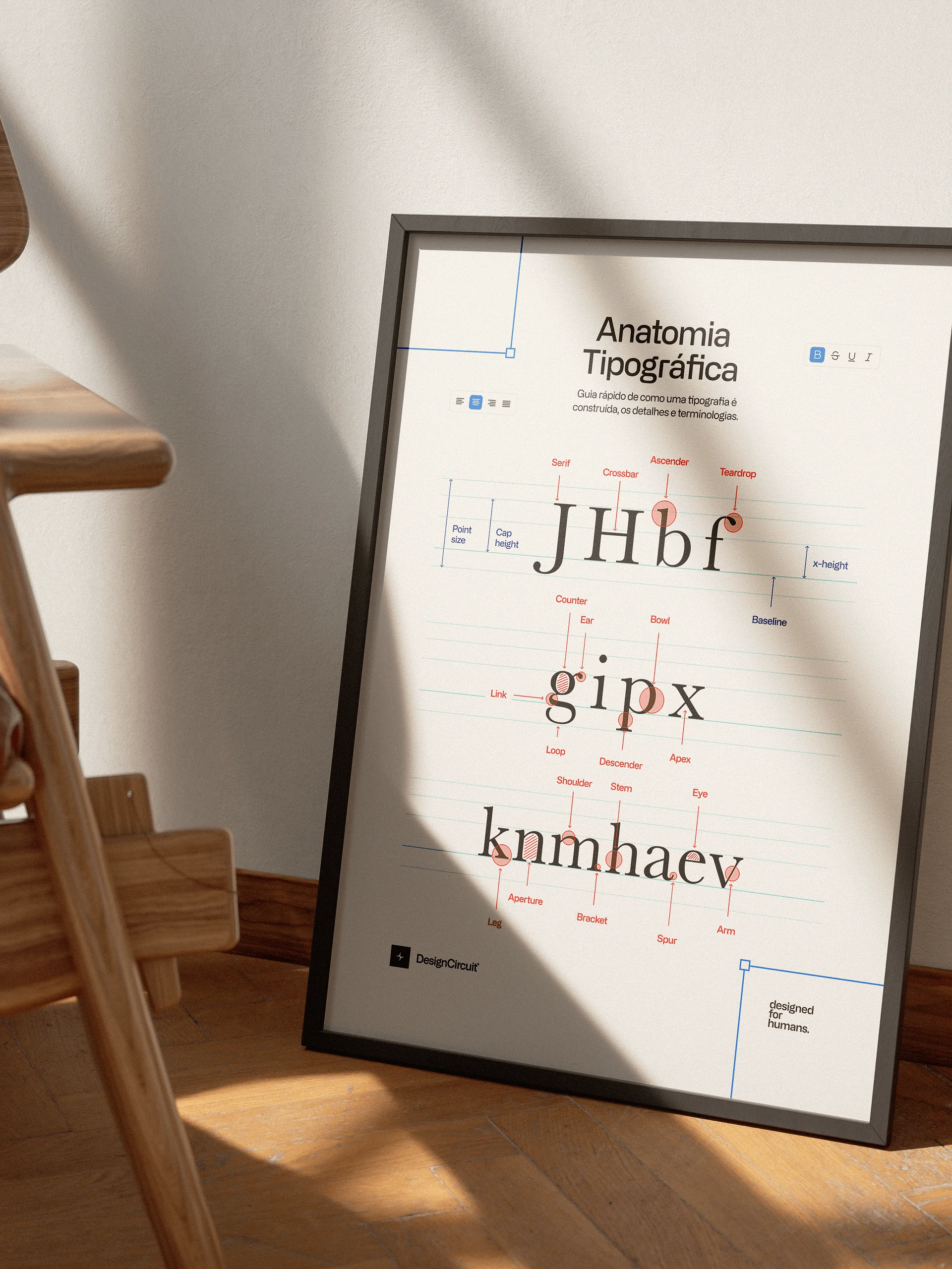 Anatomia Tipográfica — Print Guide product image (2)