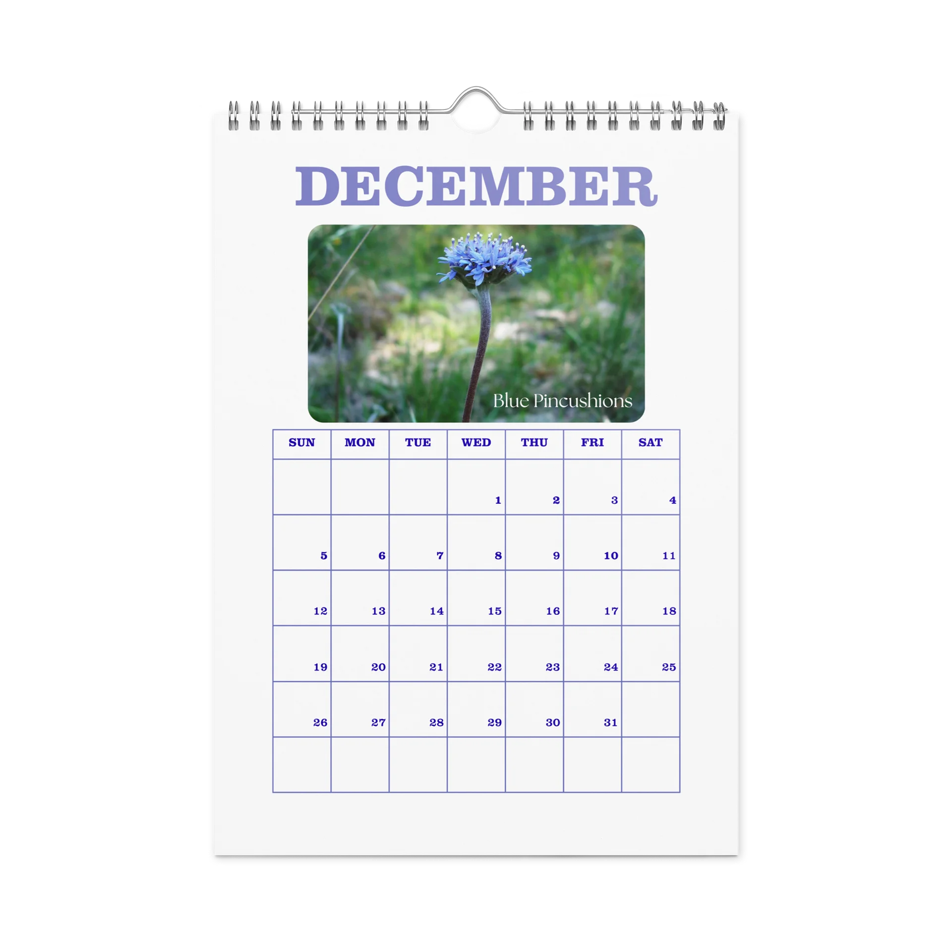 2027 - PRIDE WITH AUSTRALIAN NATIVE FLORA - Wall Calendar product image (4)