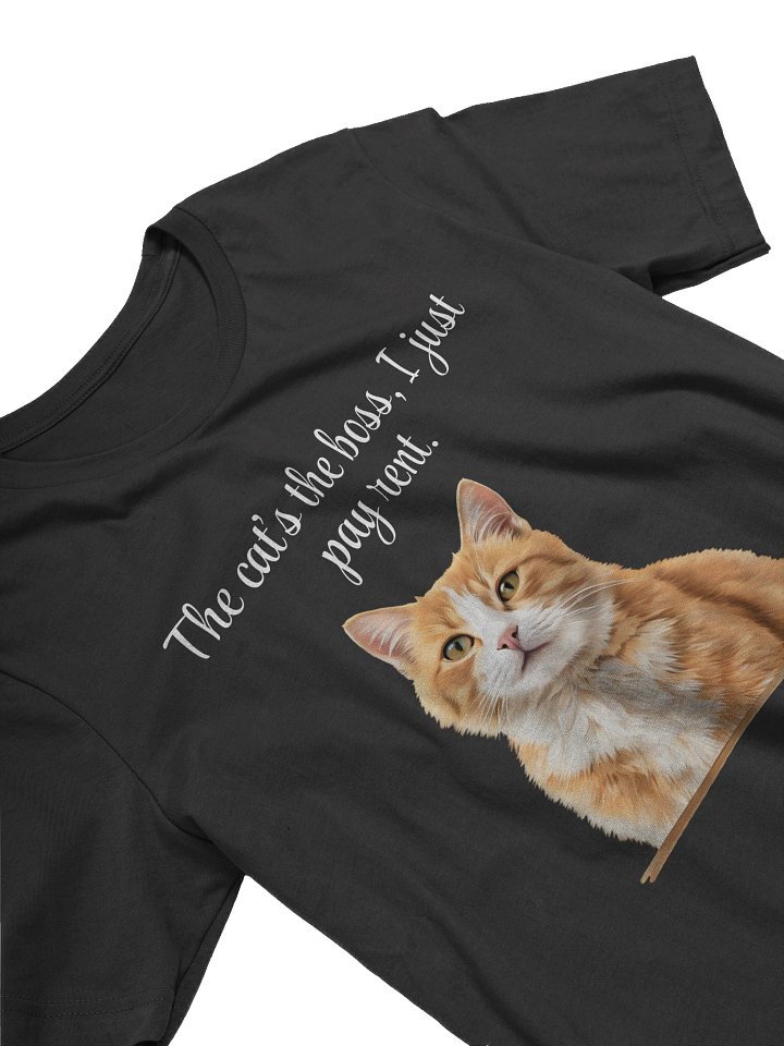 THE CAT’S THE BOSS, I JUST PAY RENT. product image (17)