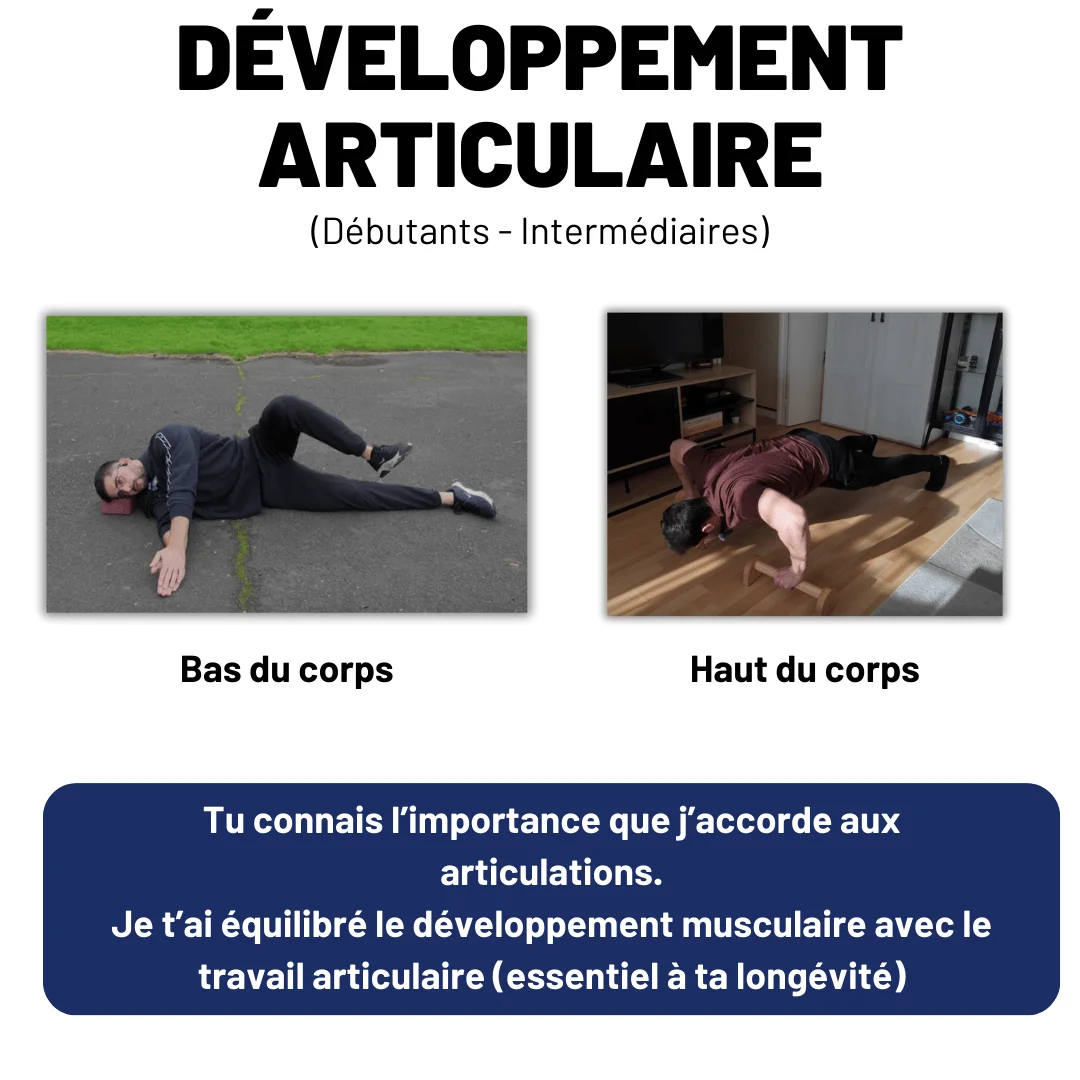 [Programme] Le système Balèze aux Élastiques product image (3)