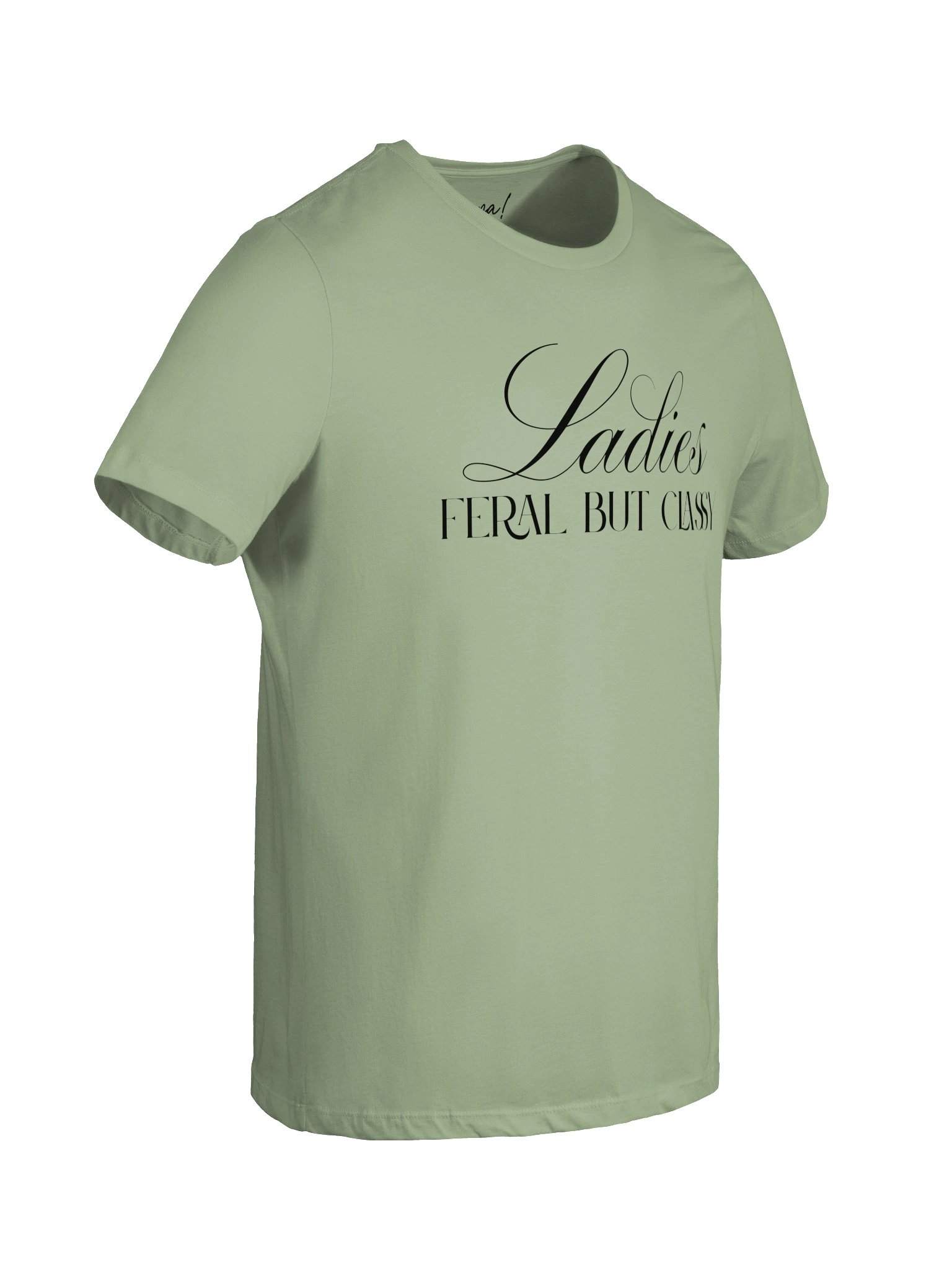 Ladies - Feral But Classy (relaxed tee) product image (28)
