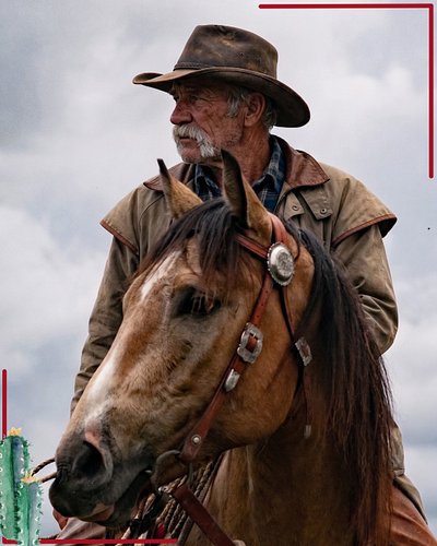 The wild ones don't need a map. 🐎

We're rooted in nature, connected to ourselves. Out there, intuition is the only compass w...