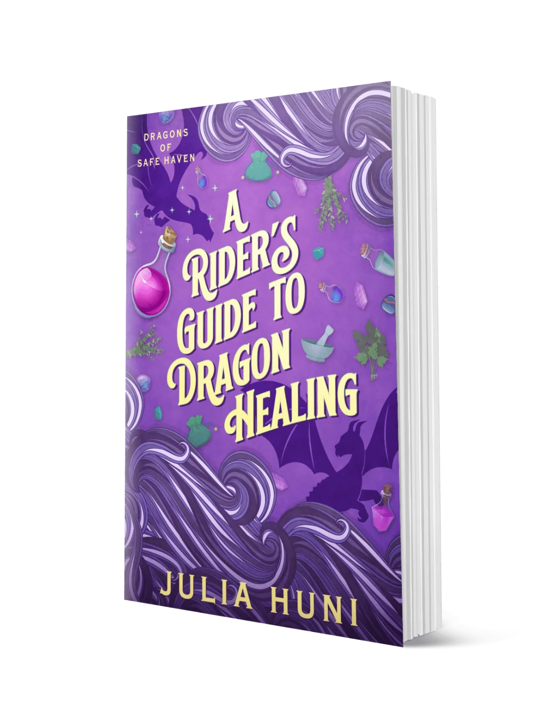 A Rider's Guide to Dragon Healing - Paperback product image (1)