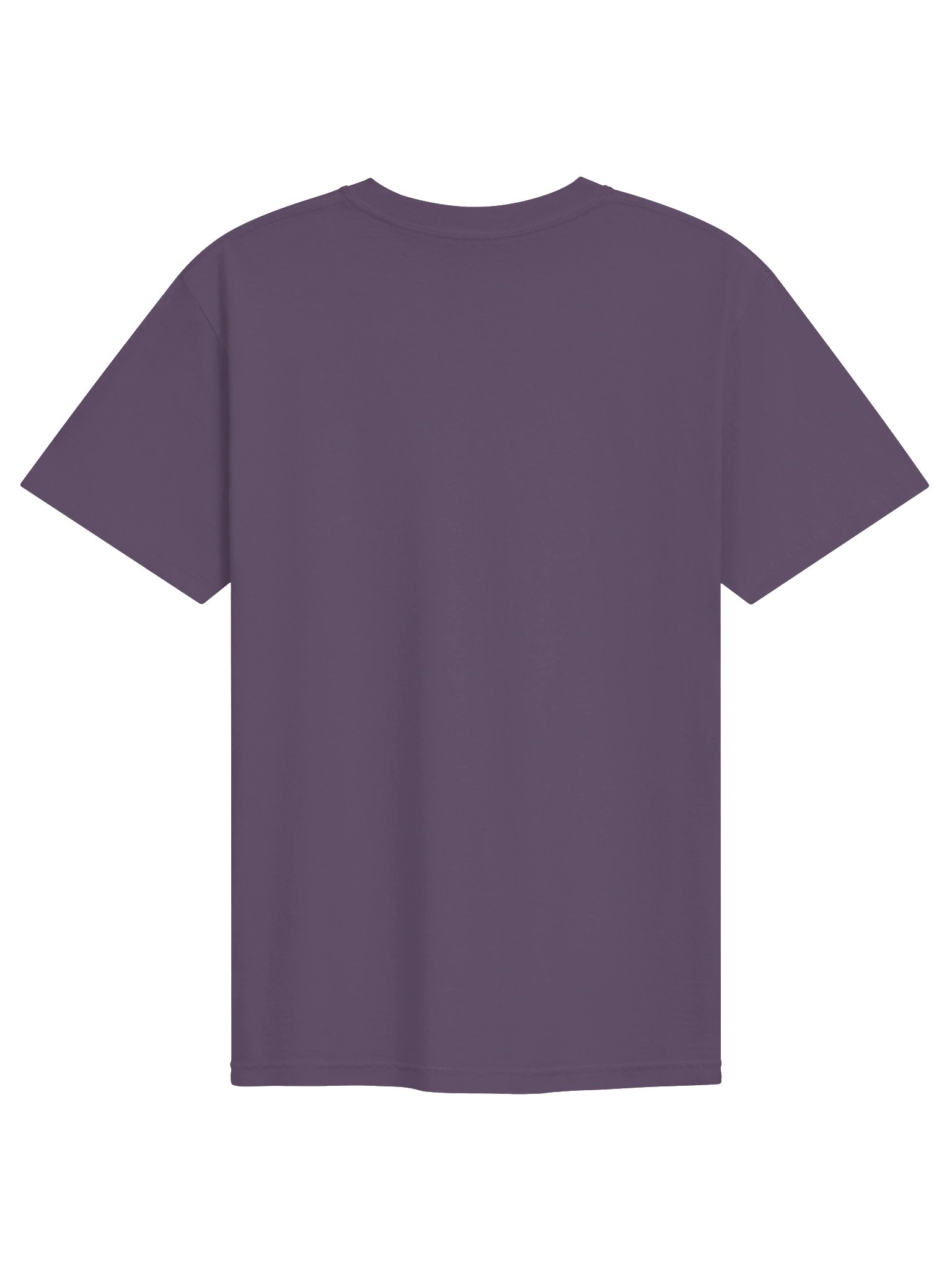 BP&F The Knight and the Moth Coverage | Printed Tee (Comfort Colors) product image (2)