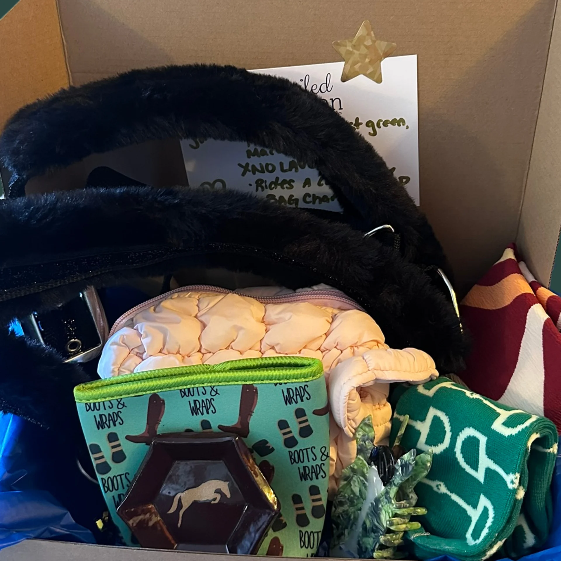 The Spoiled Equestrian Scoops 16 Mystery Pulls product image (2)