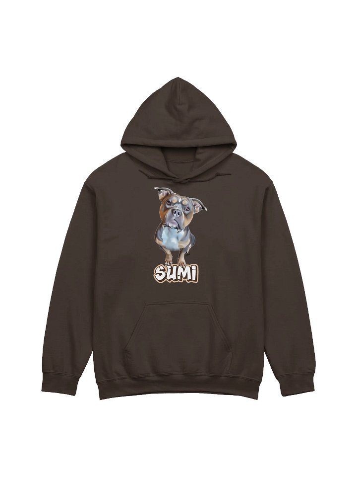 Sumi Banner | Hoodie product image (1)