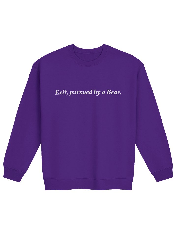 Beary Cozy Stage Direction Sweatshirt product image (4)