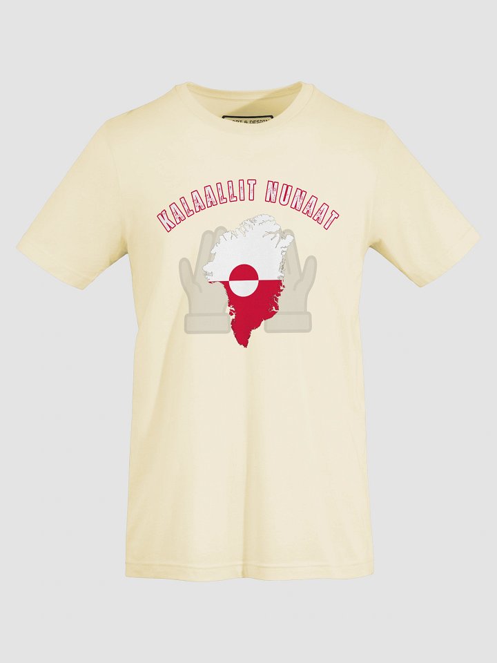 Kalaallit Nunaat Flag Hands T-Shirt product image (26)