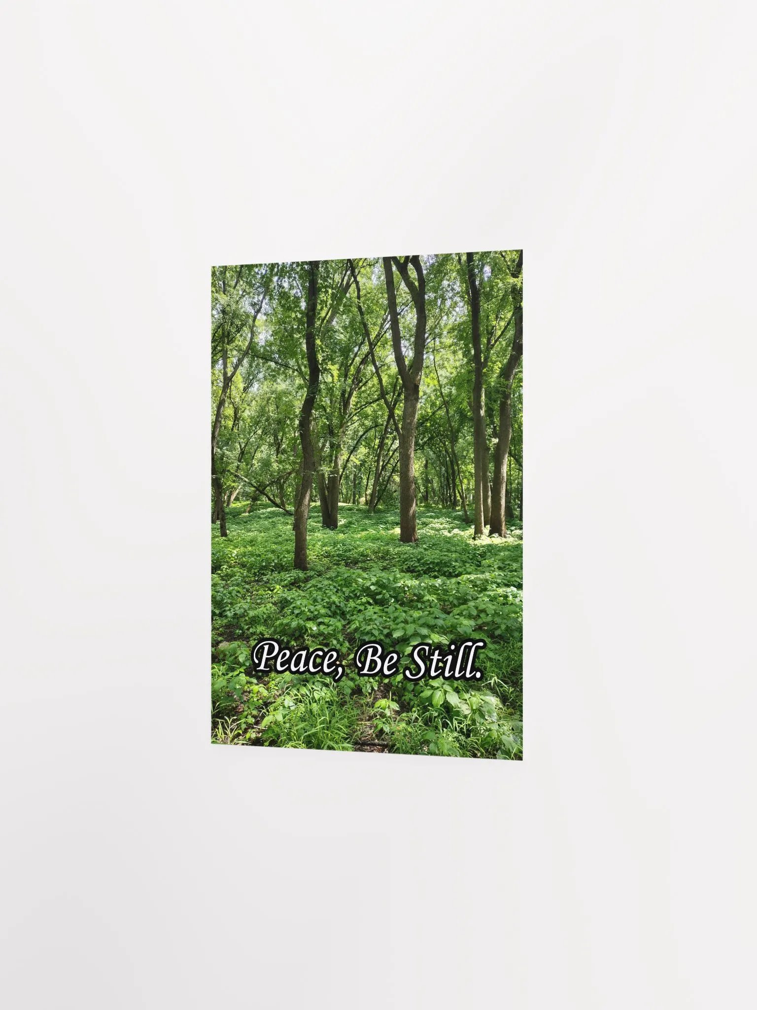 Peace, Be Still - Print product image (5)