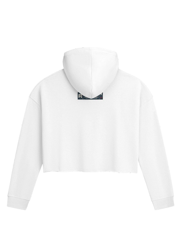 Envy's Crop Hoodie product image (9)