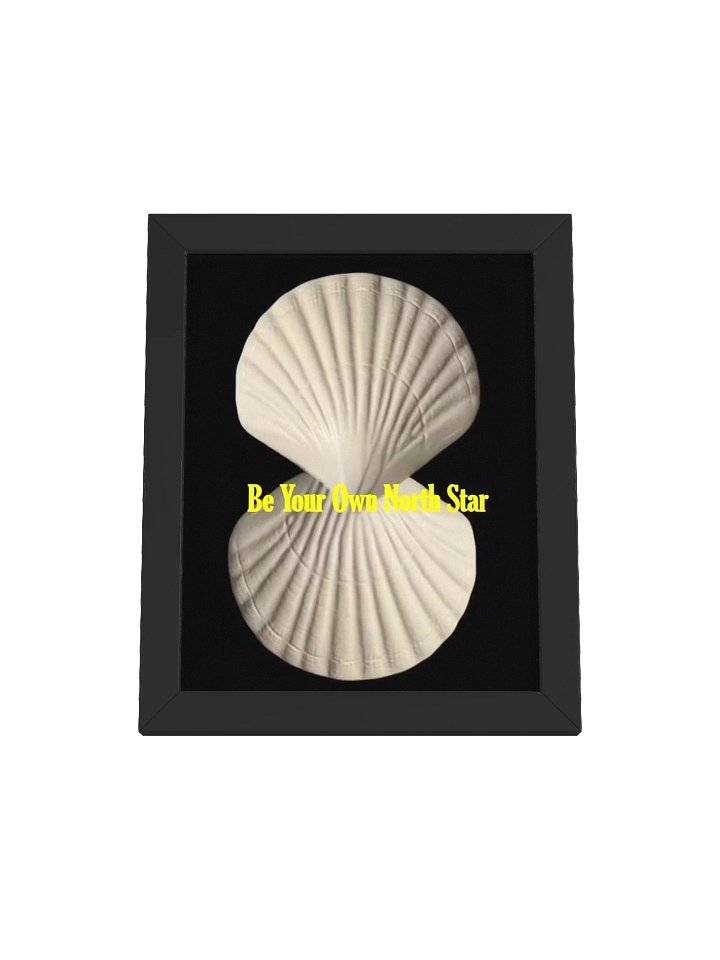 North Star product image (4)