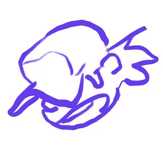 xyphid