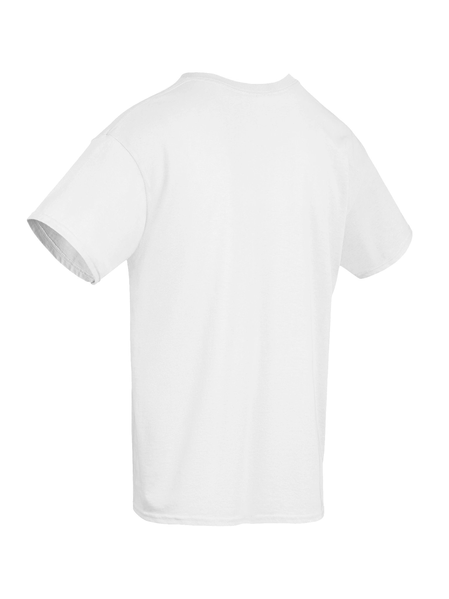 POLITICAL IDENTITY (light) - T-SHIRT product image (46)