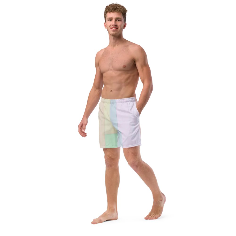Pastel Board Boardshorts product image (1)