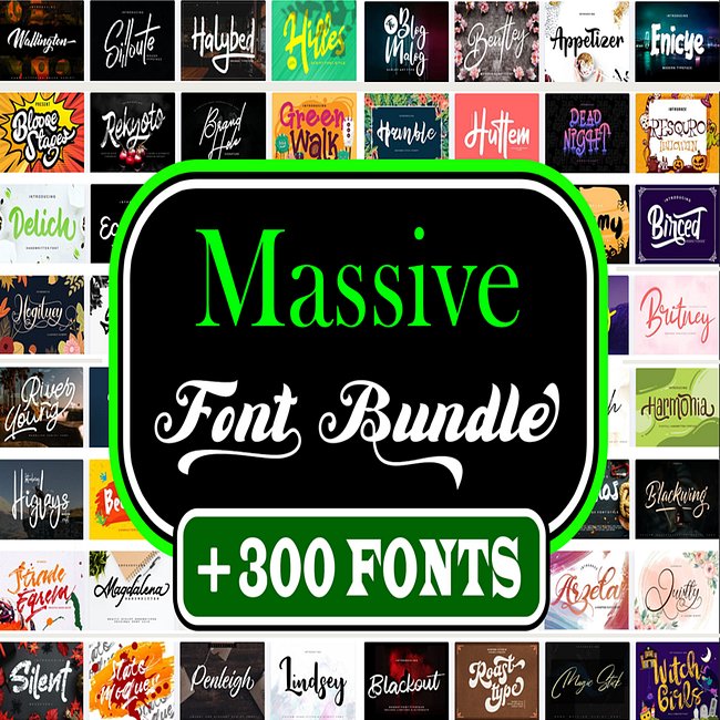 Premium Fonts