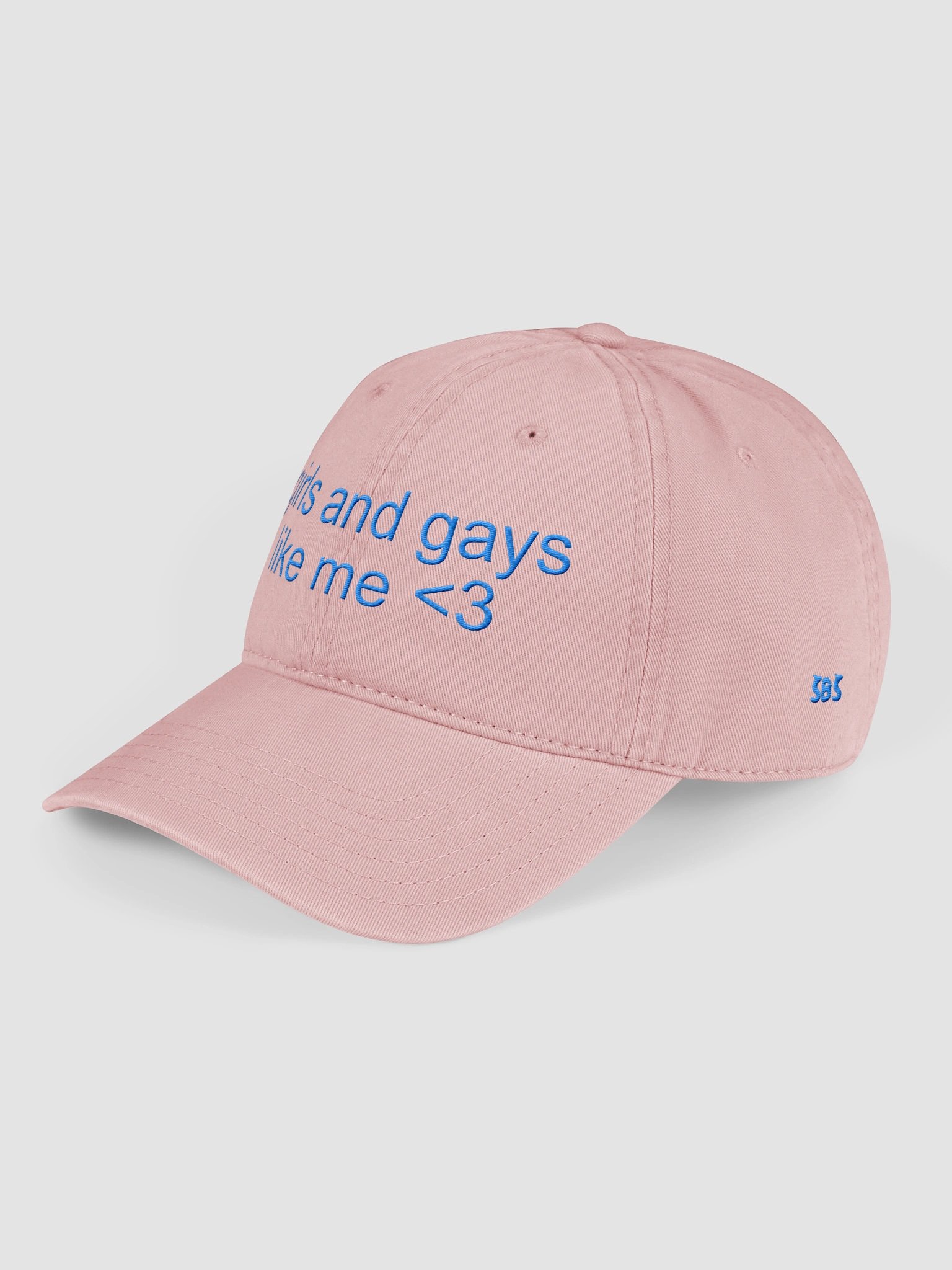 GIRLS AND GAYS LIKE ME HAT product image (3)