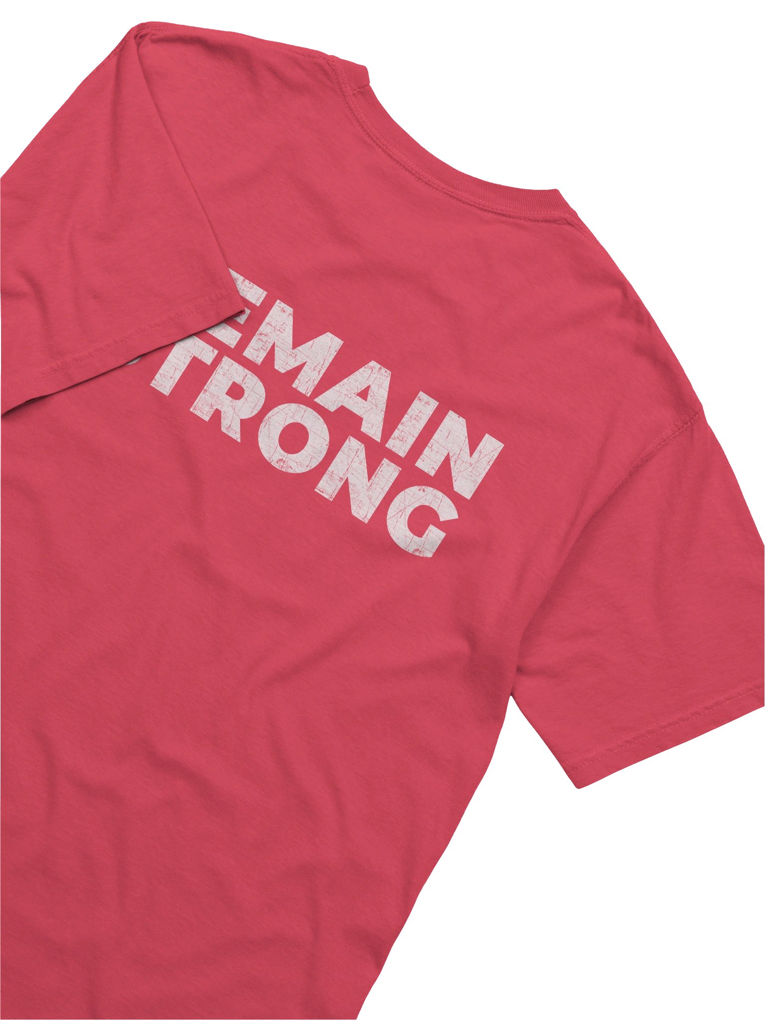 Do Not Conform Heavyweight T-Shirt product image (4)