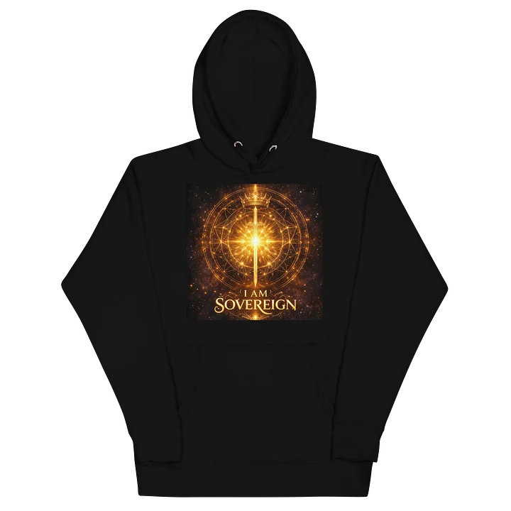 Sovereignty Declaration -Unisex Hoodie product image (2)