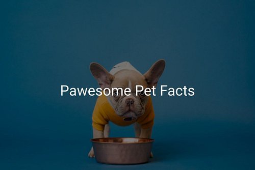 Did you know that pet supplies, especially toys, can greatly enhance your furry friend's mental stimulation? Engaging your pe...
