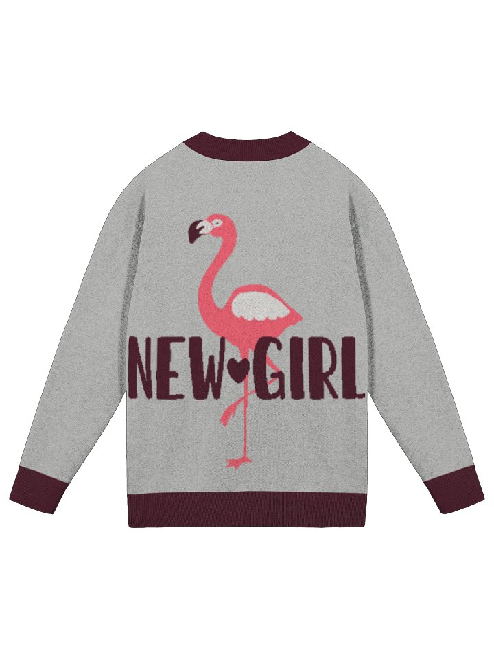 New Girl Flamingo Sweater product image (1)
