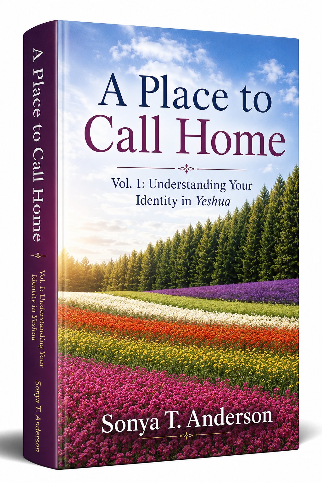 A Place to Call Home: Volume 1 Understanding Your Identity in Yeshua Messiah product image (1)