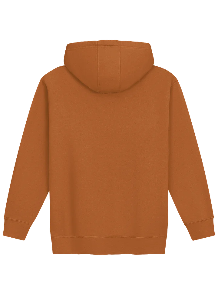 Public Land Bad Decisions Hoodie product image (3)
