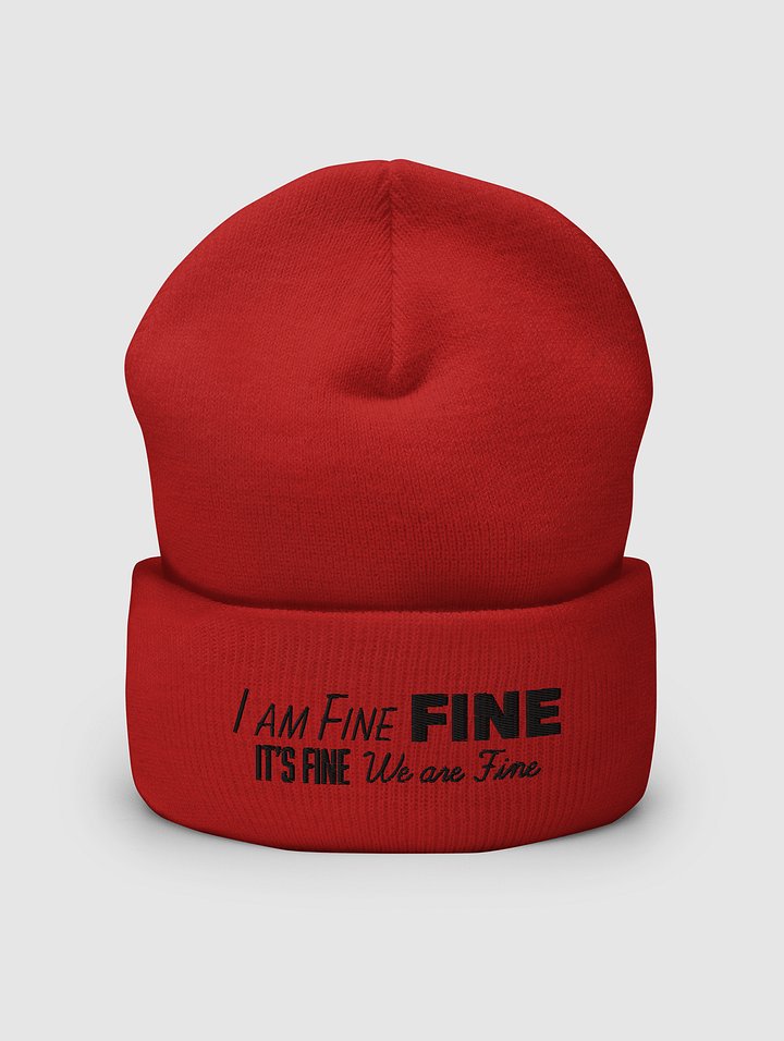 FINE Cuffed Beanie product image (2)
