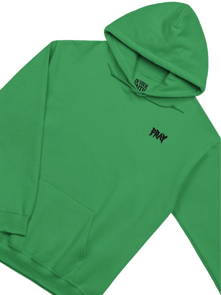 Birds Of Pray Hoodie product image (2)