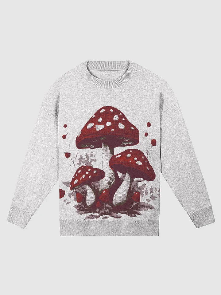Mushroom Haven Relaxed Fit Sweater product image (1)