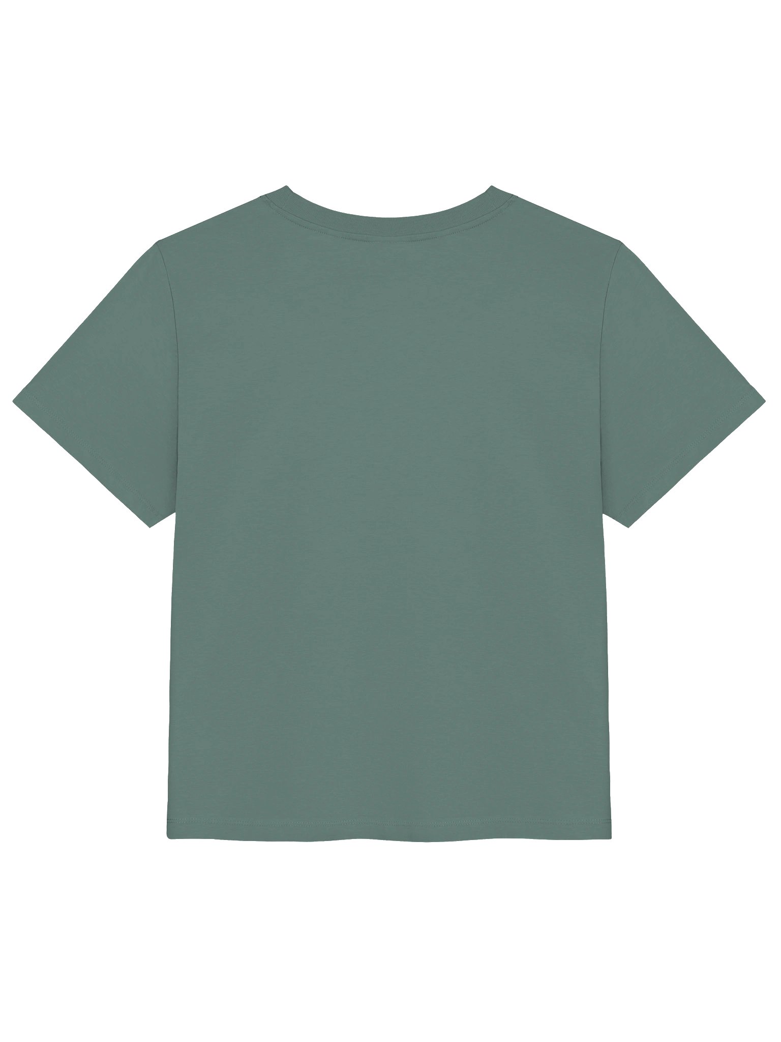 PLN Stanley/Stella Women's Organic Ribbed Neck T-Shirt product image (10)
