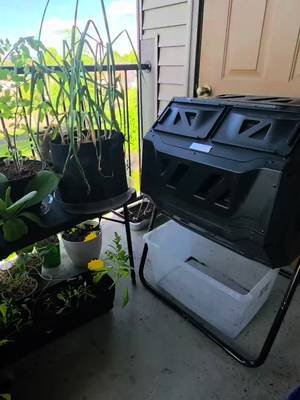 Day 11 of the Compost Challenge #30daychallenge #garden #compost