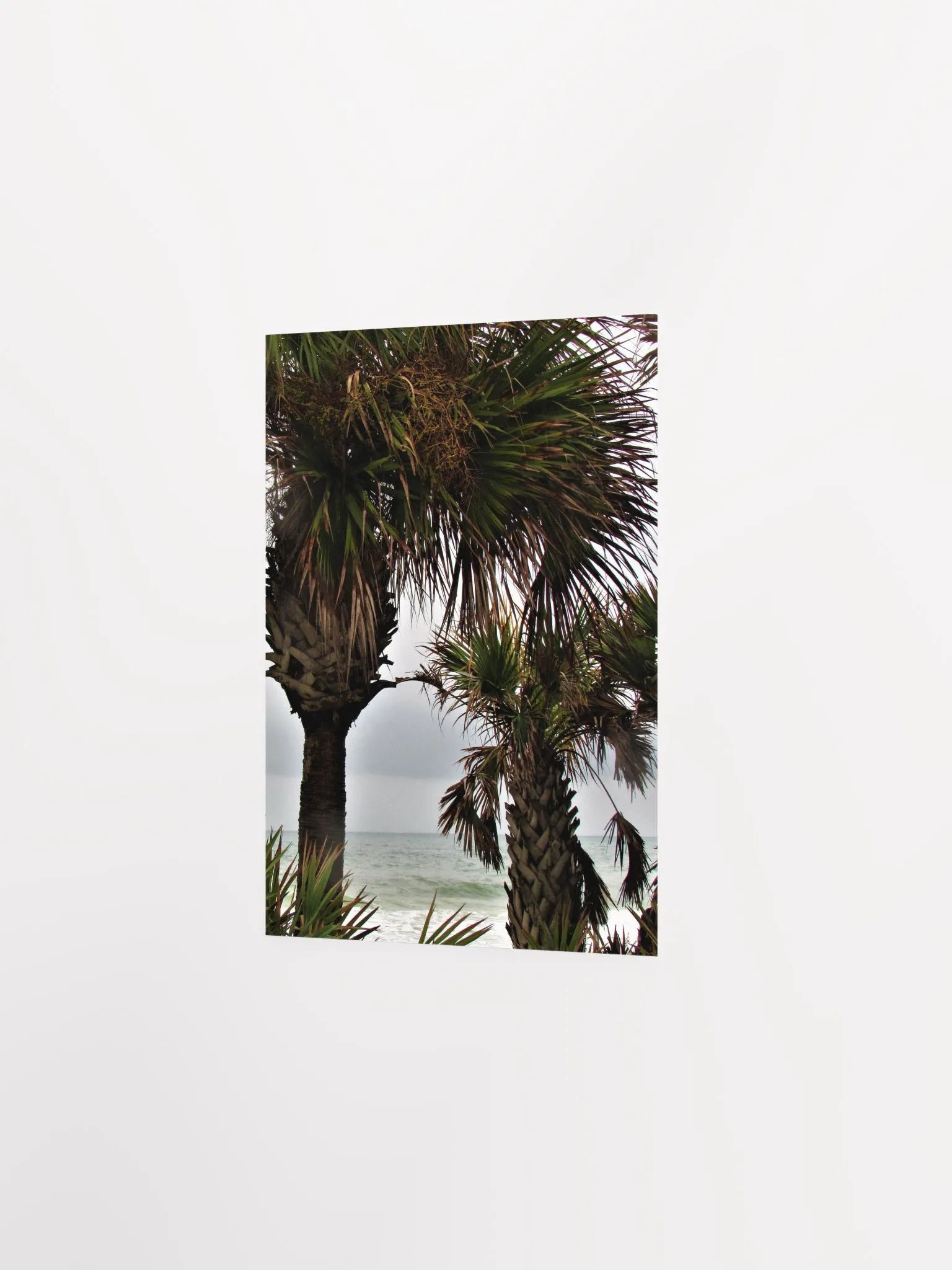Ormond Beach 3 product image (16)