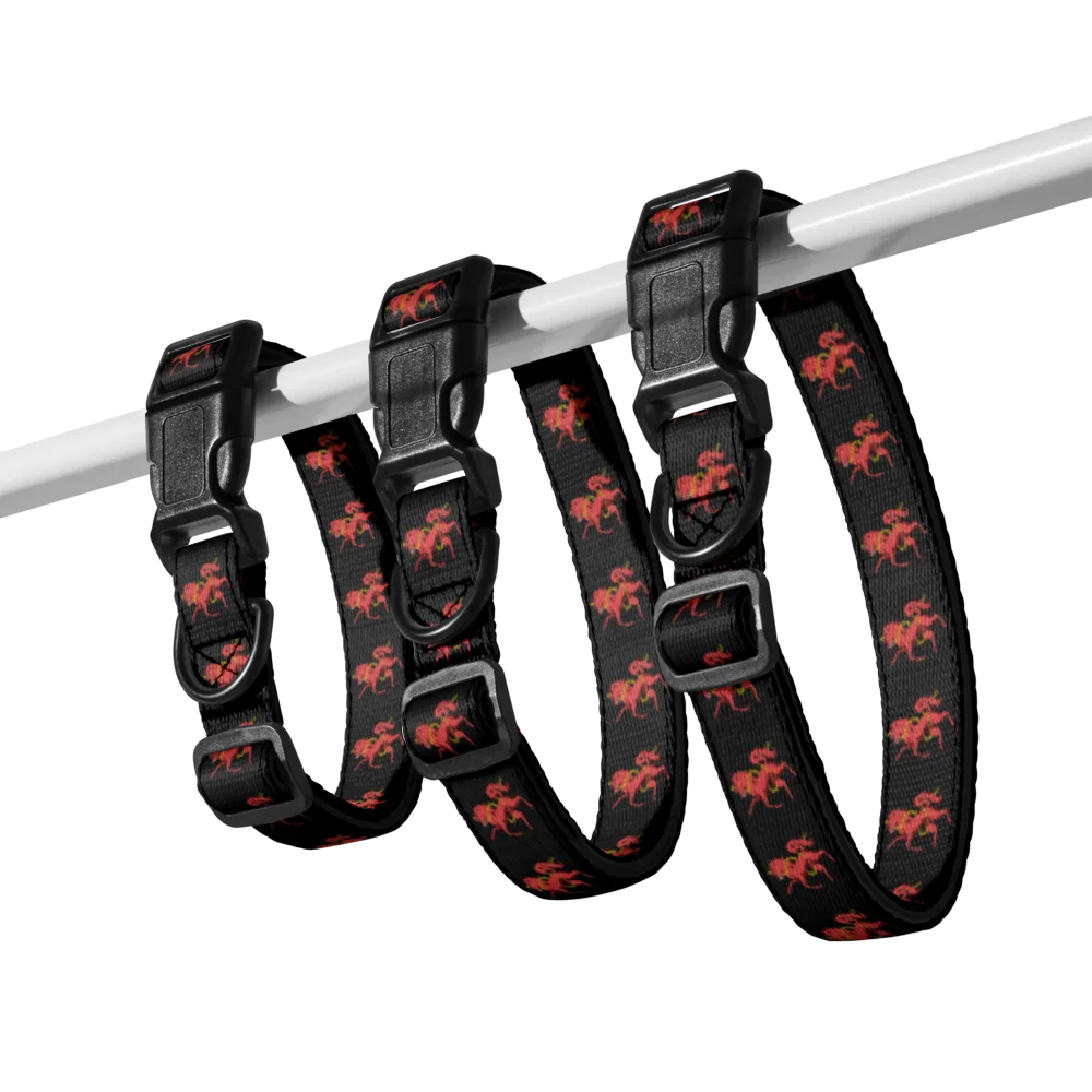 Sanguine Horse Dog Collar 🇺🇸 product image (24)