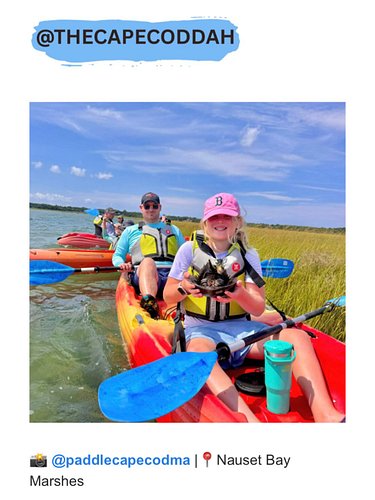 Be sure to take a tour with @paddlecapecodma before summer ends!