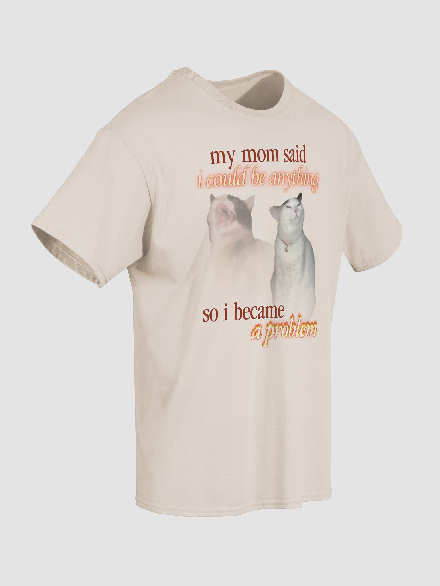 I became a problem cat T-shirt product image (4)