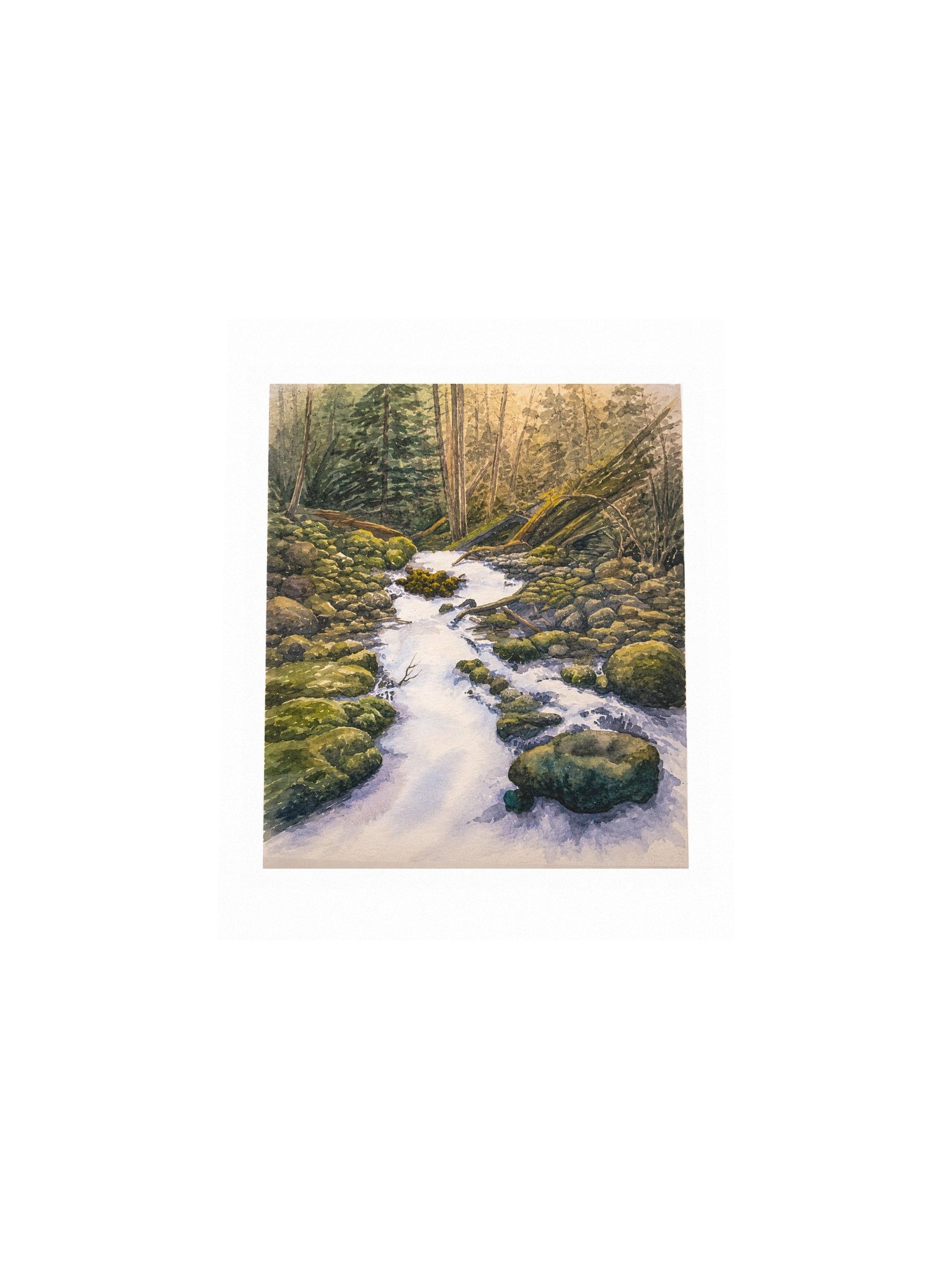 Forest Creek product image (4)