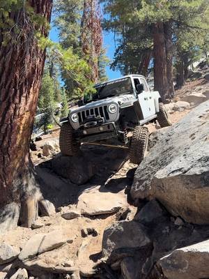 Mirror Lake Trail, CA during the 2026 High Sierra Poker Run!  There was definitely some tight spots that made me pretty nervous about the wheelbase of the Gladiator but thanks to a great group of guys from Wayalife and Disciple Off Road, we made it! #jeep #offroad #4x4 