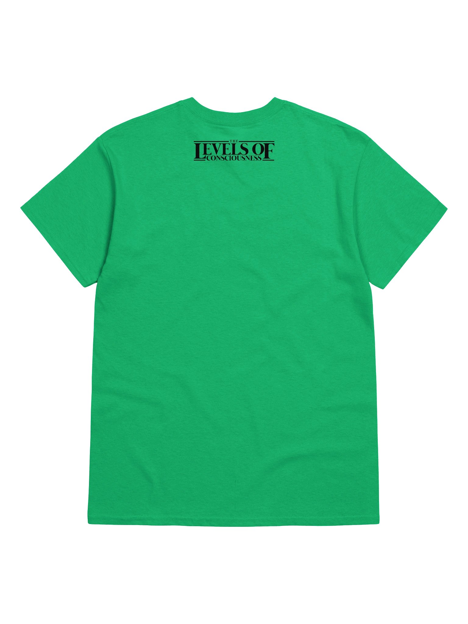 "Let's Unmask Reptilians" Tee product image (55)