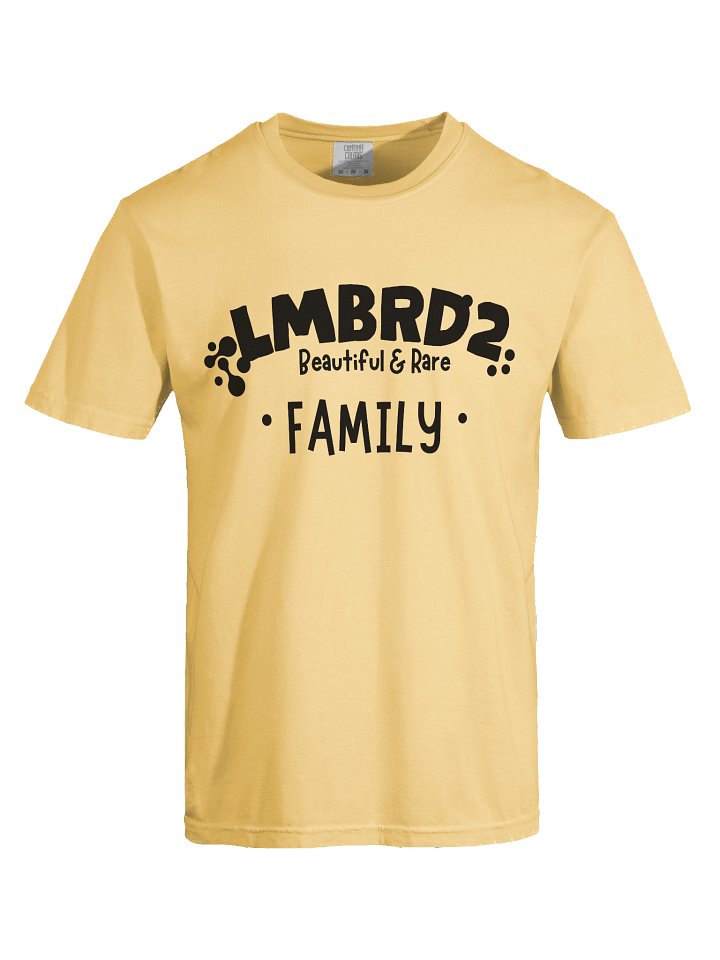LMBRD2 Comfort T-Shirt -FAMILY product image (45)