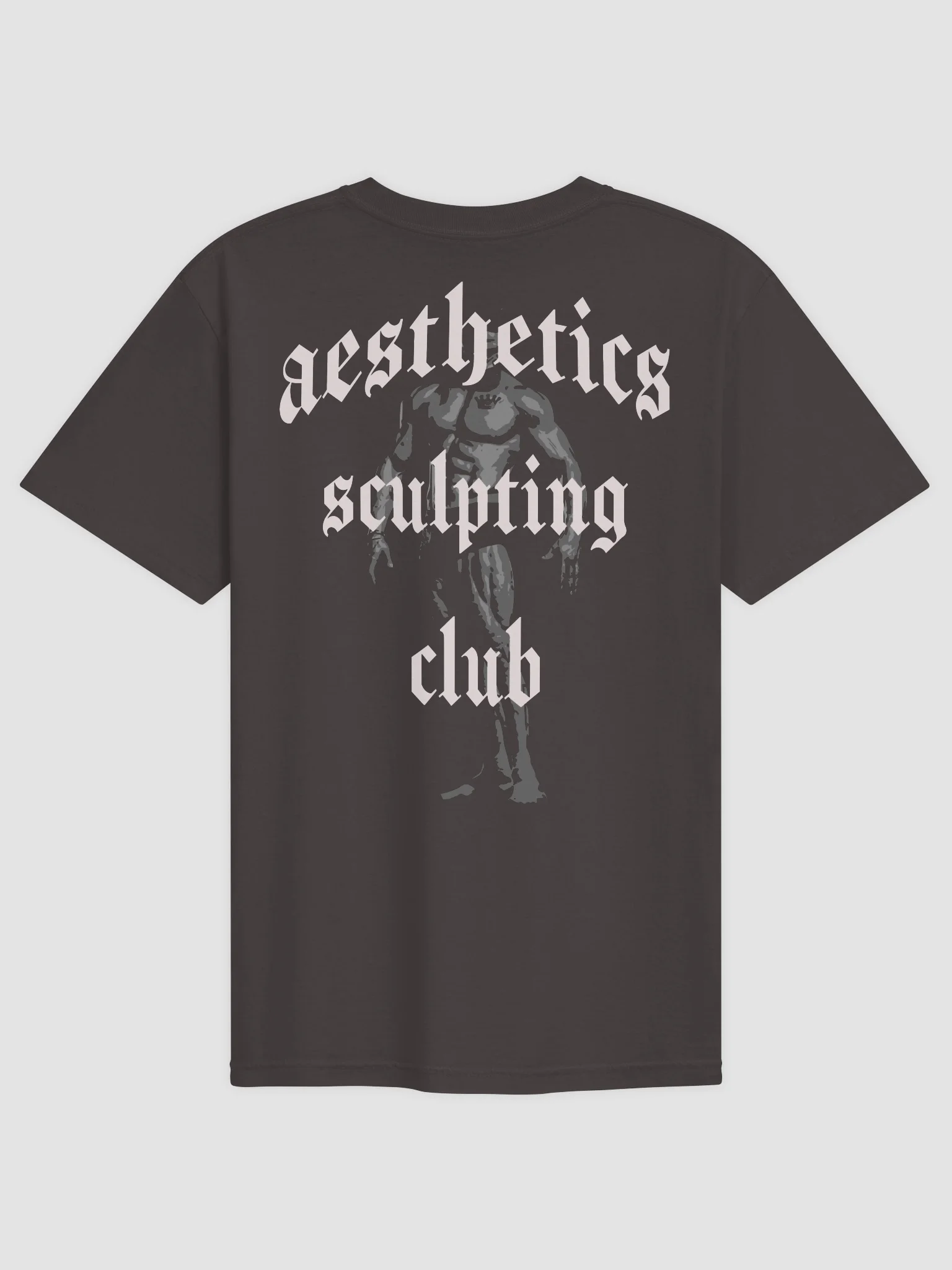 Aesthetics Sculpting Club Tee product image (9)
