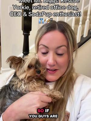 “Introducing Biggy Boxes featuring SodaPup! Because little dogs deserve BIG things! 🐾❤️” #fyp #dogsoftiktok #yorkiesoftiktok #dogs #dogmomlife 