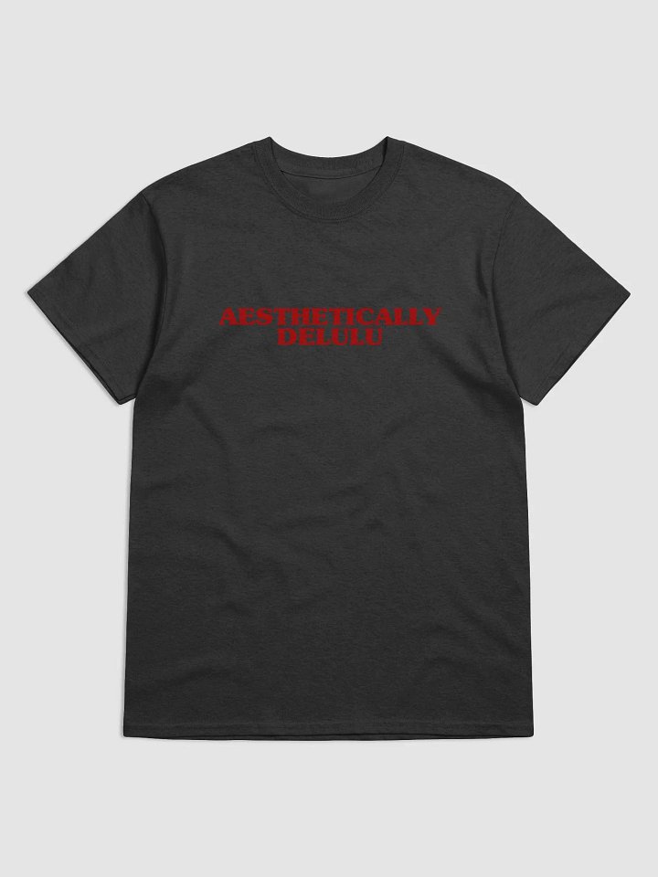 Aesthetically Delulu T-Shirt product image (1)