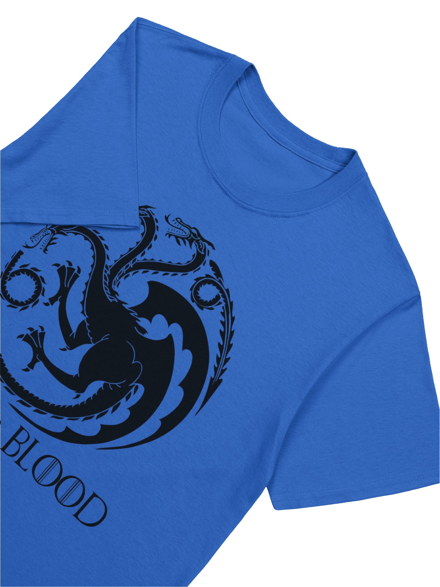 Targaryen T-Shirt – Dark Fantasy Ouroboros Dragon Symbol Tee | Mythic Gothic Shirt product image (32)