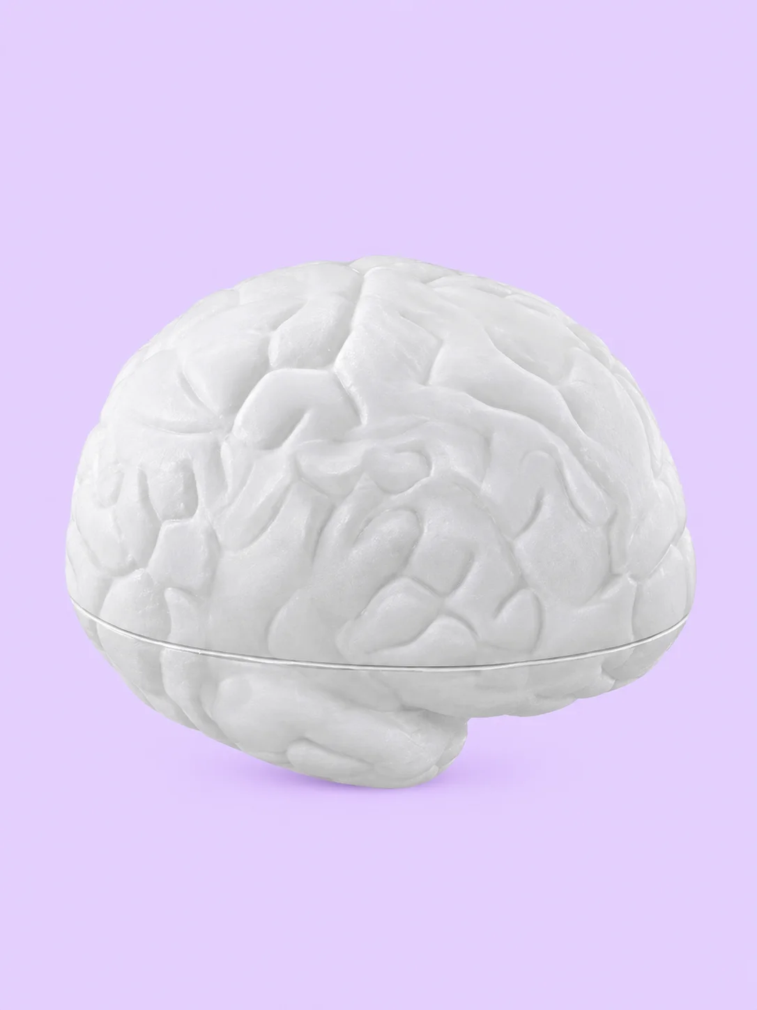 Anatomical Heart and Brain Foam Stress Ball Set product image (3)