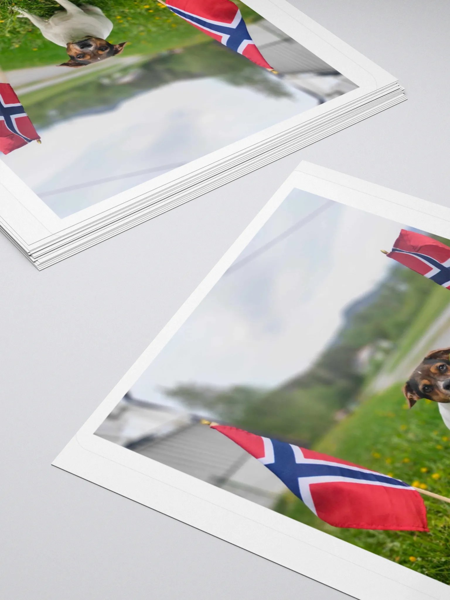 Bella stickers product image (11)