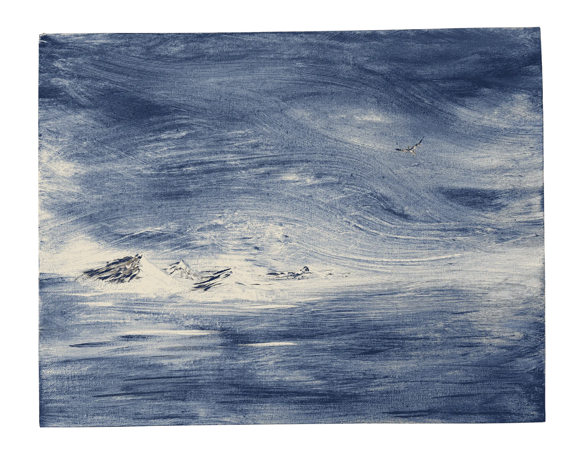 Steppe product image (1)