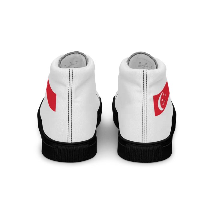 singapore product image (2)