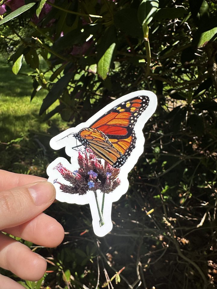 Monarch Butterfly Sticker product image (2)