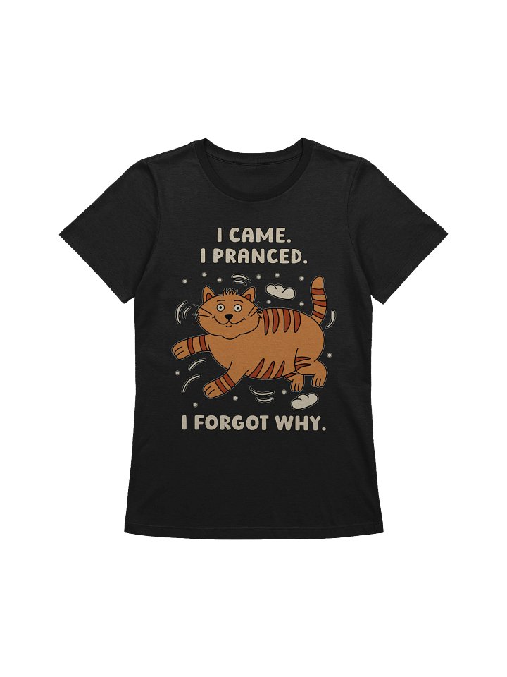 I Came. I Pranced. I Forgot Why. Cat Women's Relaxed-fit T-shirt product image (1)