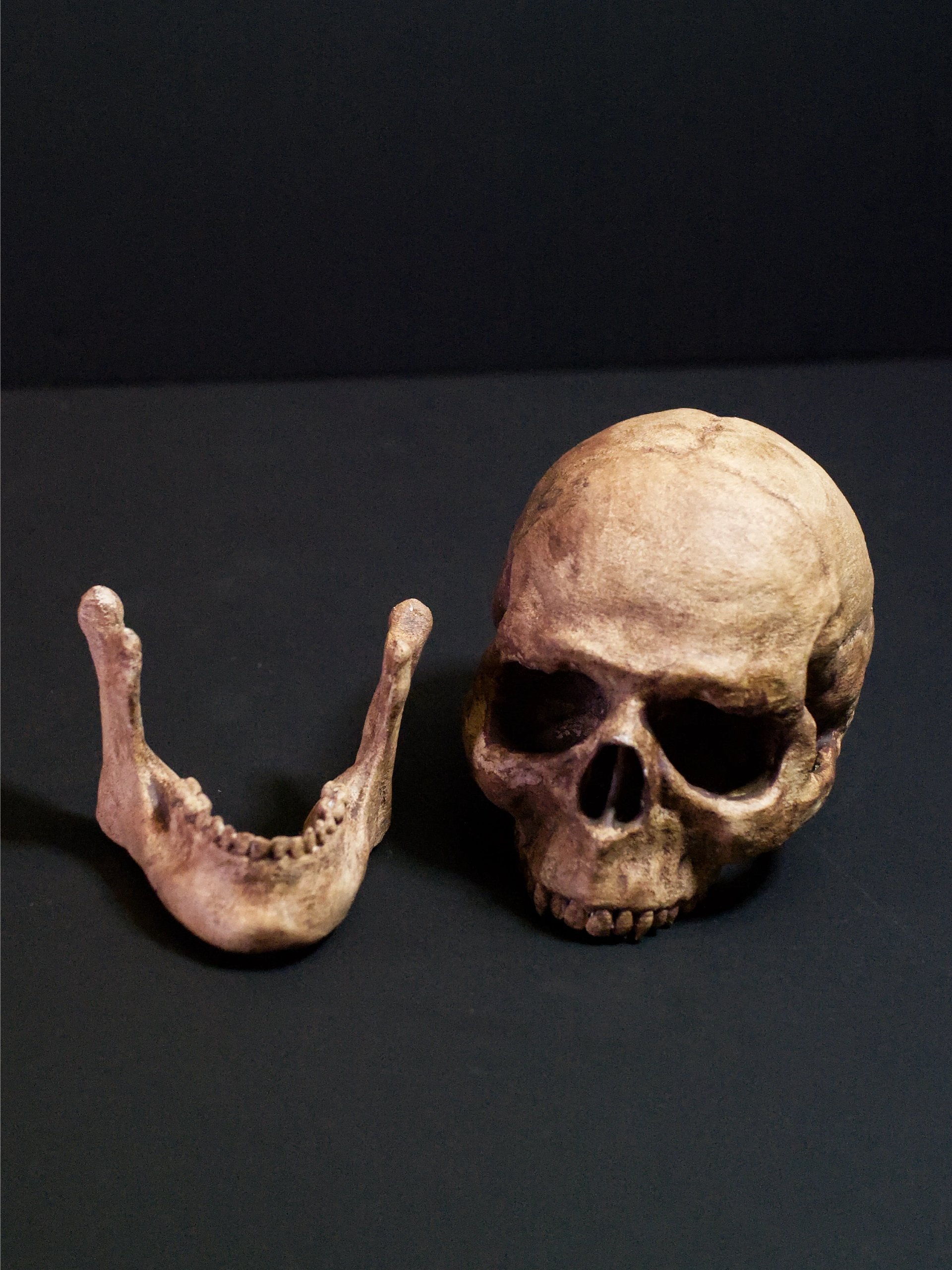 Tiny Skulls product image (2)